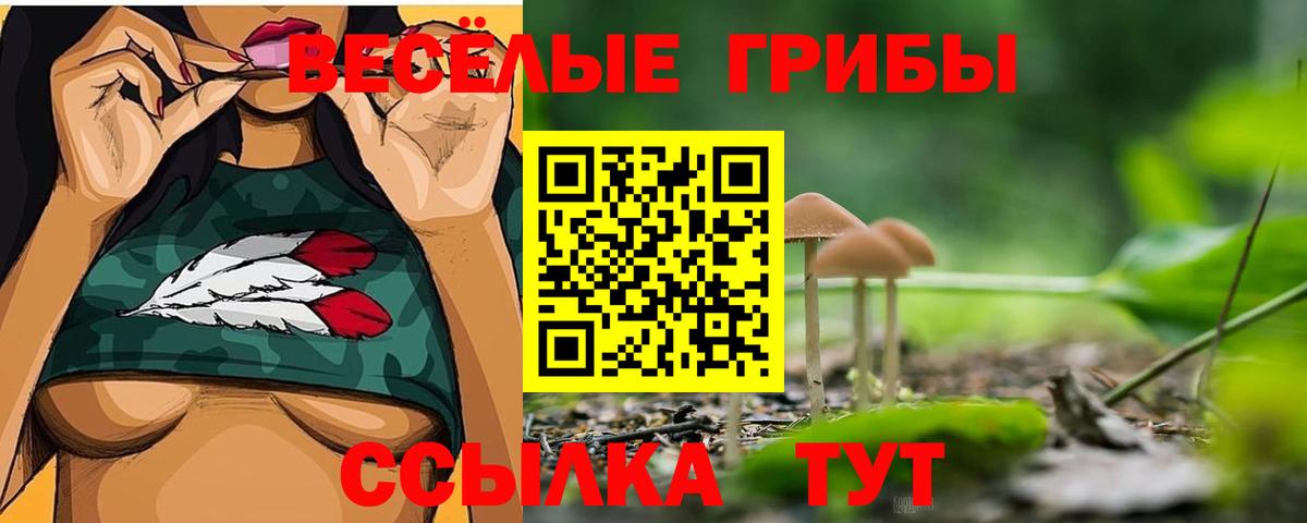 Псилоцибиновые грибы ЛСД  Вход с VPN  Среднеуральск 